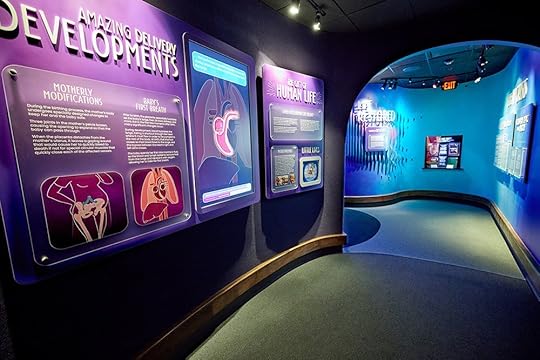 Fearfully and Wonderfully Made Exhibit