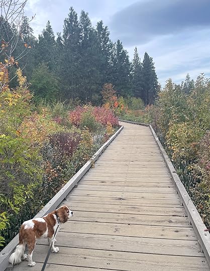 thesimplyluxuriouslife.com | The Simply Luxurious Life