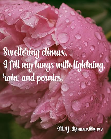haiku text over a wet peony