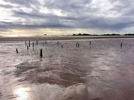 shipwrecks?