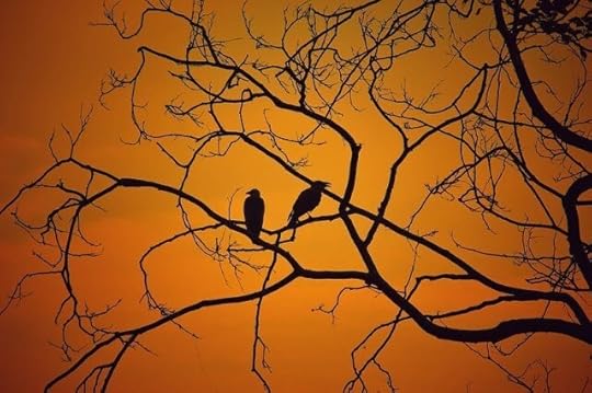 Happy Halloween. Two Birds on Twig by Tejas Prajapati