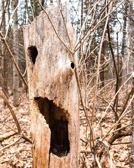 Happy Halloween from the tree spirits