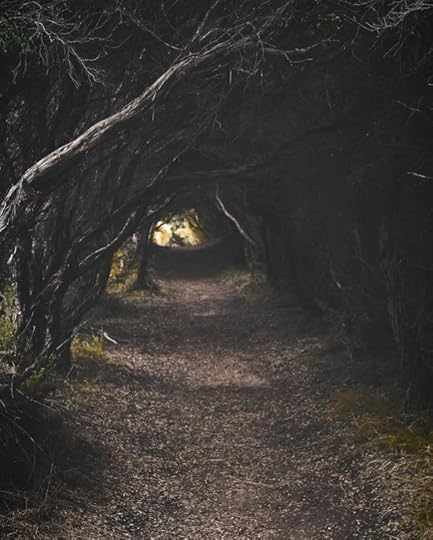 More eerie nature: “Tree Pathway” by Adnan Uddin