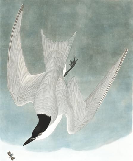 Arthur Brooks on long-term happiness