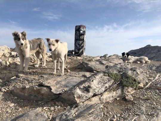 Dogs on Mt Olympus