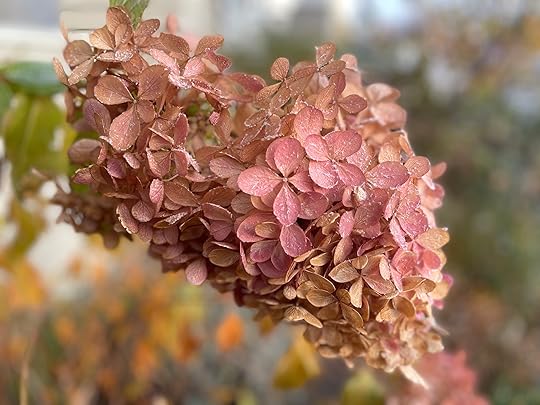 thesimplyluxuriouslife.com | The Simply Luxurious Life