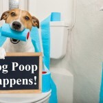 dog poop