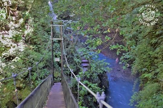 Bridge Oropendola Waterfall