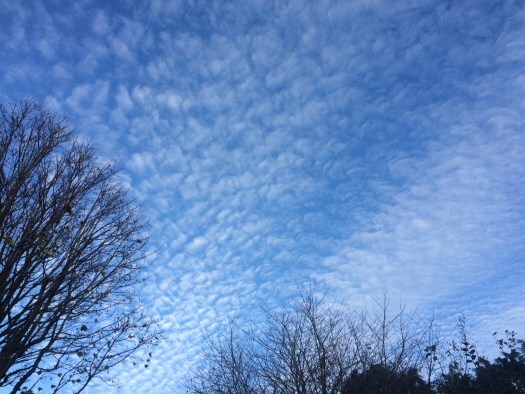 The first frost of winter brings blue skies and cirrus clouds