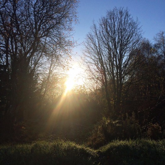 Frosty morning, Scotland. First frost