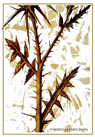 an impudent weed