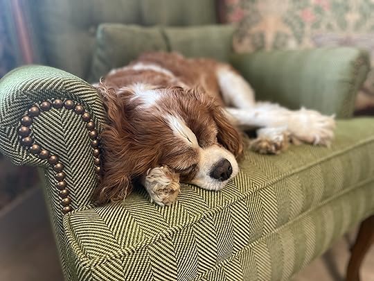 thesimplyluxuriouslife.com | The Simply Luxurious Life