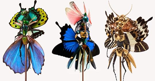 Insect Fairies