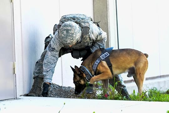 thanking all veterans