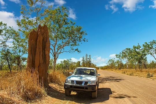 termites in kakadu