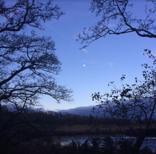 dark blue hues