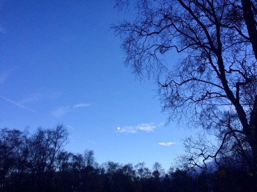dark blue hues of winter