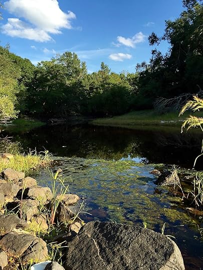 Black River, South Carolina has tannins in the water that make the water dark.
