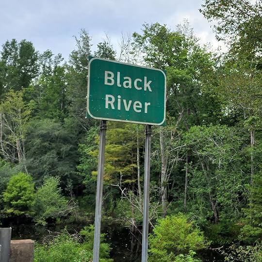 Black River, South Carolina has tannins in the water that make the water dark.