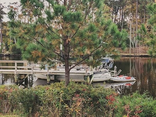 Cetacea in the park but keeping her distance