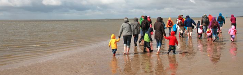 tide flat wanderings