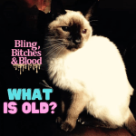 what is old cat