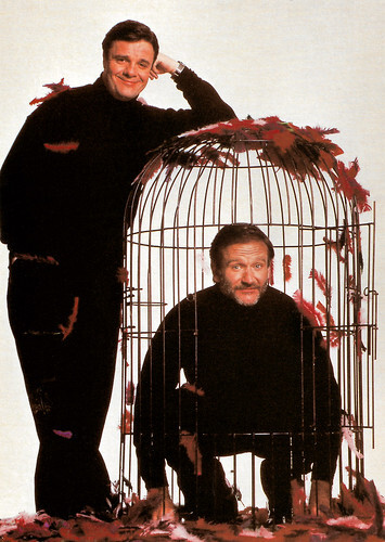 Nathan Lane and Robin Williams in The birdcage (1996)