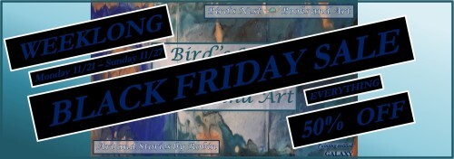 112122 - black friday sale