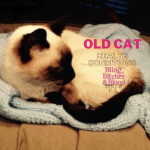 old cat health conditions