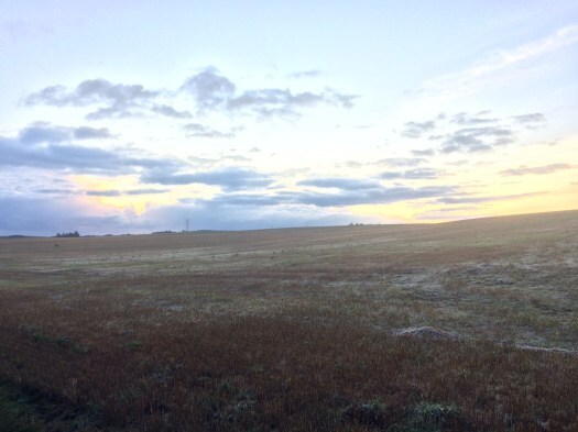 frosty field near the writing cave