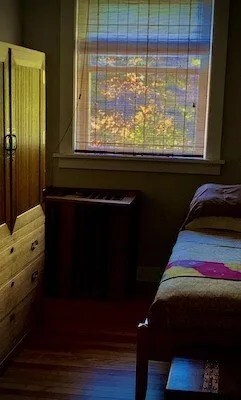 Autumn Light. Author's photograph