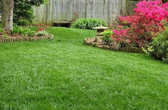 Garden in spring
