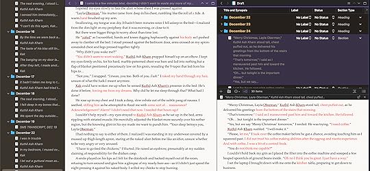Novel editing view