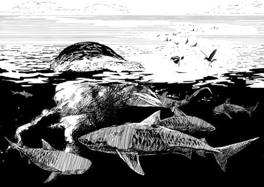 Four reasons why Tiger Sharks are really important