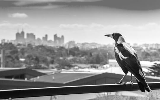 Why urbanites need access to abundant wildlife