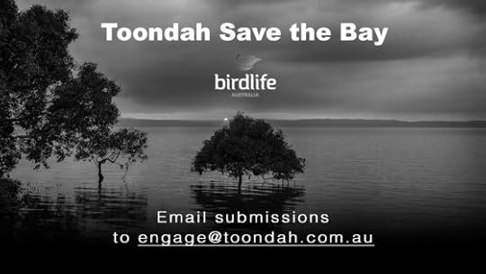 Toondah proposals are unwise. Saving shorebird habitat is the only hope.