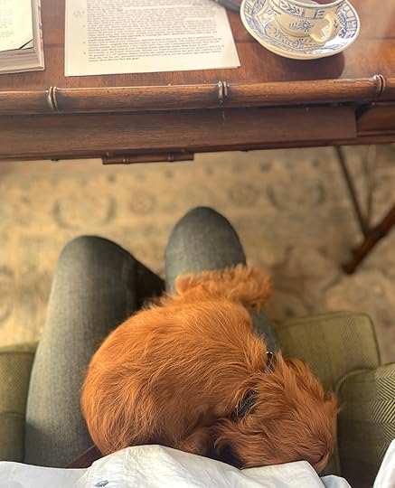 thesimplyluxuriouslife.com | The Simply Luxurious Life