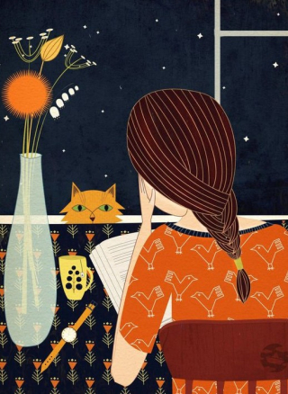 Cat (4)