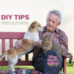 DIY Tips for old pets