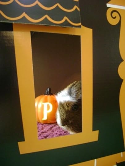 Rachel E Smith guinea pig Peregrine