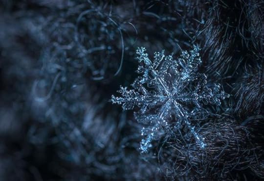 Macro Photography of Snowflake by Egor Kamelev