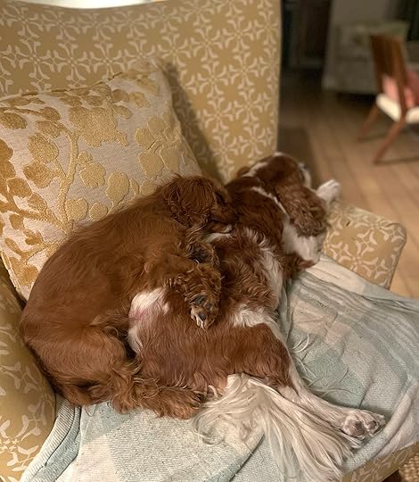 thesimplyluxuriouslife.com | The Simply Luxurious Life