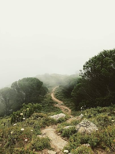 Mountain path descending through scrub to a misty valley