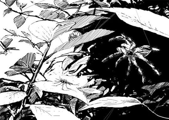 Seen any jumping spiders lately?