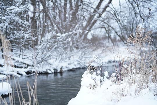 This image has an empty alt attribute; its file name is 50750282053_1eb1b0f324_h.jpg