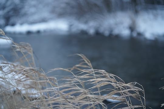 This image has an empty alt attribute; its file name is 51688330054_0a42014814_h.jpg