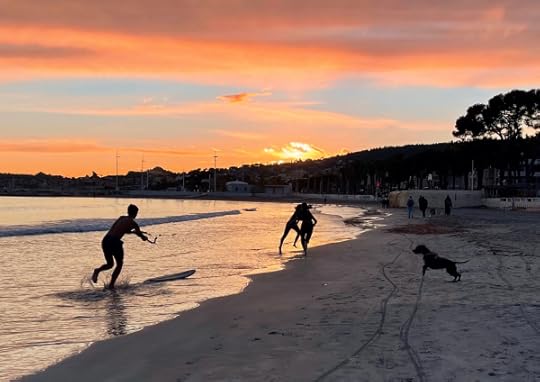 la ciotat france beach surf fun dog sunset