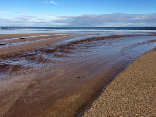 river at the beach