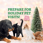 holiday pet visit preparation