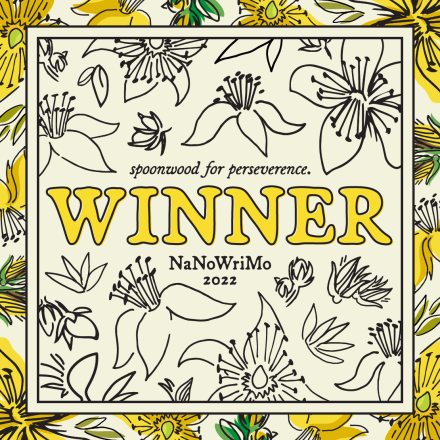 December Newsletter | NaNo Winner